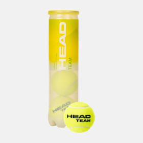 HEAD TEAM Karton – 36 x 4 Tennisbälle
