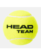HEAD TEAM Karton – 36 x 4 Tennisbälle
