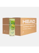 HEAD STAGE 2 GREEN Karton – 16 x 3 Tennisbälle