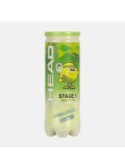 HEAD STAGE 2 GREEN Karton – 16 x 3 Tennisbälle
