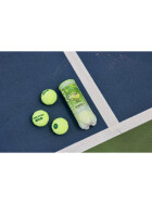 HEAD STAGE 2 GREEN Karton – 16 x 3 Tennisbälle