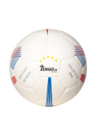 Galactica Pro (blue/red)